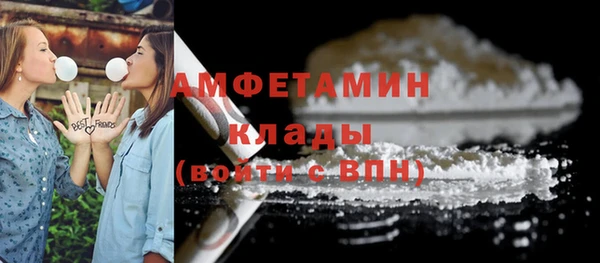 сатива Верхний Тагил