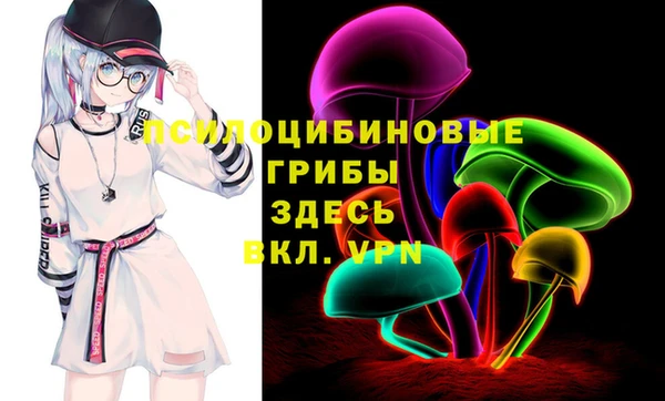 сатива Верхний Тагил