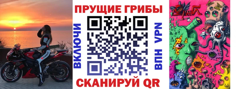 Псилоцибиновые грибы Psilocybine cubensis  Когалым 